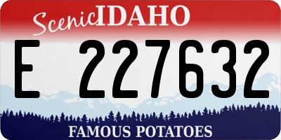 ID license plate E227632