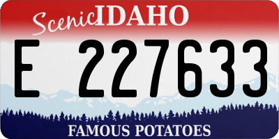 ID license plate E227633