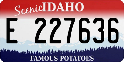 ID license plate E227636
