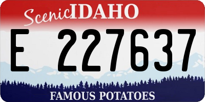 ID license plate E227637