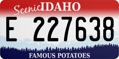 ID license plate E227638