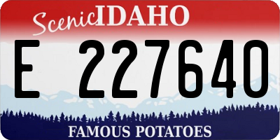 ID license plate E227640