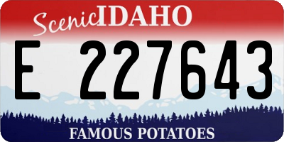 ID license plate E227643