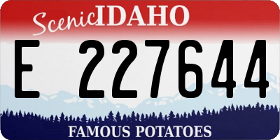 ID license plate E227644