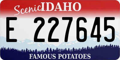 ID license plate E227645