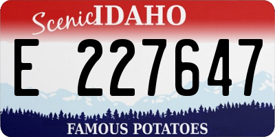 ID license plate E227647