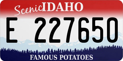 ID license plate E227650