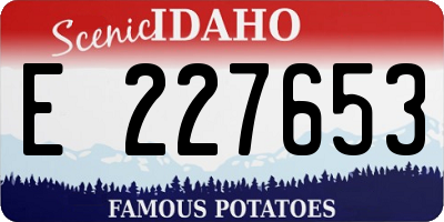 ID license plate E227653