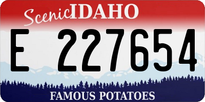 ID license plate E227654