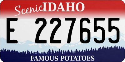 ID license plate E227655