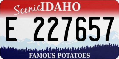 ID license plate E227657
