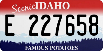 ID license plate E227658