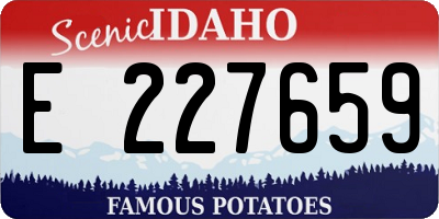 ID license plate E227659