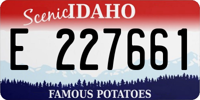 ID license plate E227661