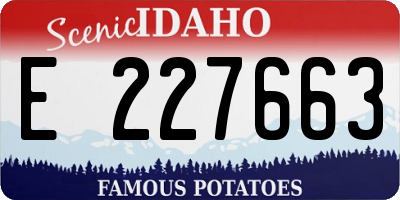 ID license plate E227663