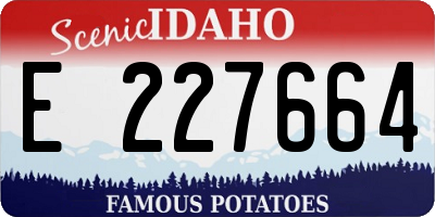 ID license plate E227664