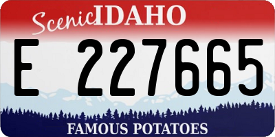 ID license plate E227665