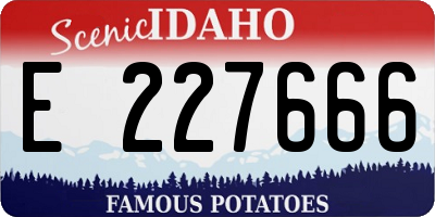 ID license plate E227666