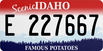 ID license plate E227667