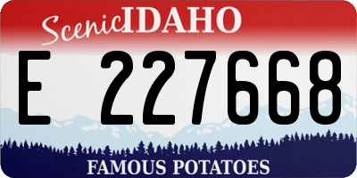 ID license plate E227668