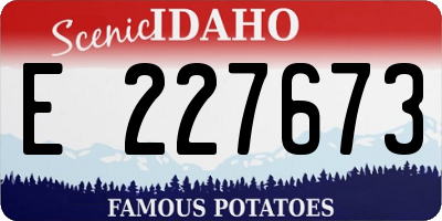 ID license plate E227673