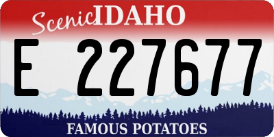 ID license plate E227677