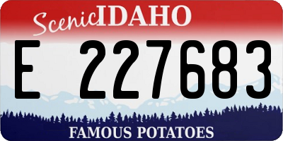 ID license plate E227683