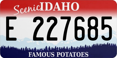 ID license plate E227685