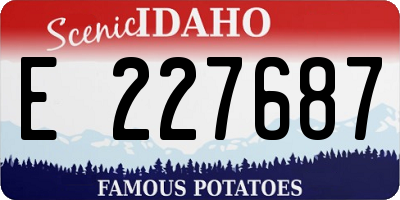 ID license plate E227687
