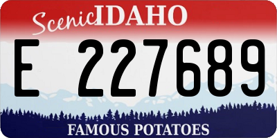 ID license plate E227689