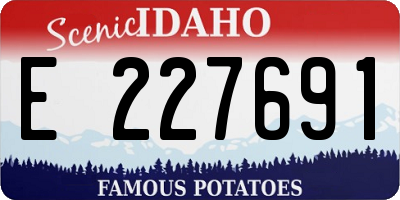 ID license plate E227691