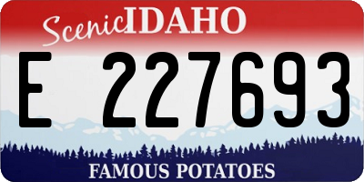 ID license plate E227693