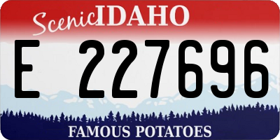 ID license plate E227696