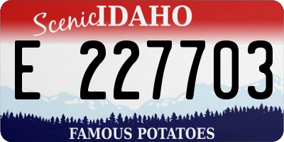 ID license plate E227703