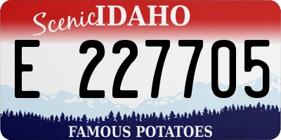 ID license plate E227705