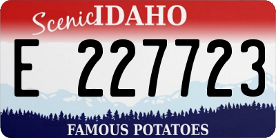 ID license plate E227723