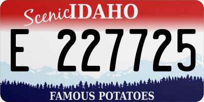 ID license plate E227725