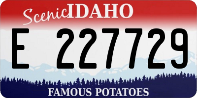 ID license plate E227729