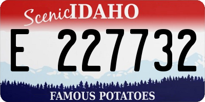 ID license plate E227732