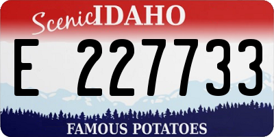 ID license plate E227733