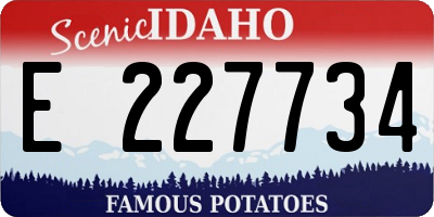ID license plate E227734