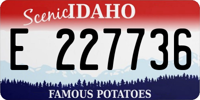 ID license plate E227736