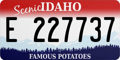 ID license plate E227737
