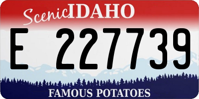 ID license plate E227739