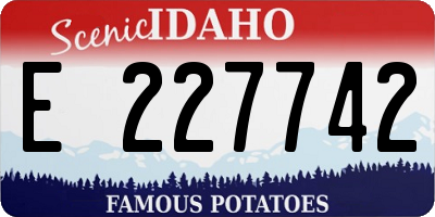 ID license plate E227742