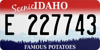ID license plate E227743