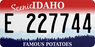 ID license plate E227744