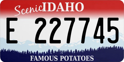 ID license plate E227745