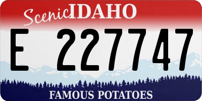 ID license plate E227747