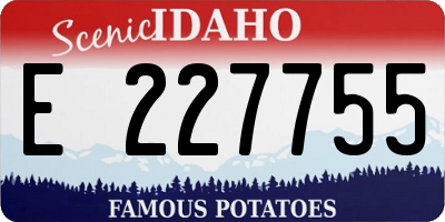 ID license plate E227755